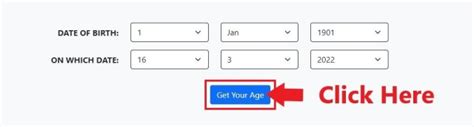 how old am i if i was born in 1996|age calculator date of birth.